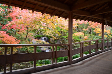 【兵庫県】姫路市・好古園の紅葉