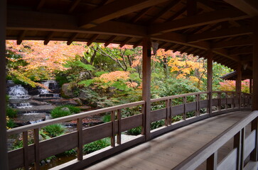 【兵庫県】姫路市・好古園の紅葉