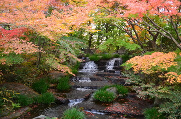 【兵庫県】姫路市・好古園の紅葉