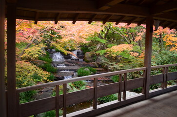 【兵庫県】姫路市・好古園の紅葉