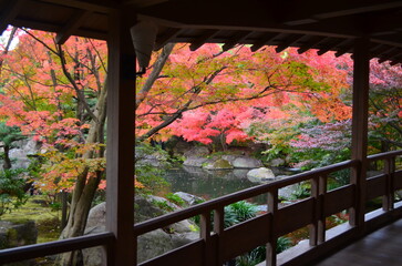 【兵庫県】姫路市・好古園の紅葉