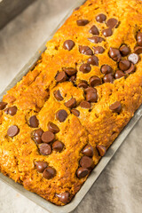 Homemade Chocolate Chip Pumpkin Bread Loaf