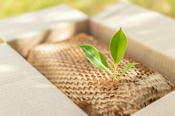 Green leaf on eco friendly brown paper honeycomb wrap for product packaging parcel carton box