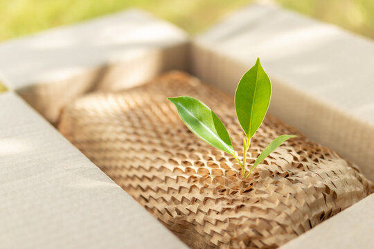Green leaf on eco friendly brown paper honeycomb wrap for product packaging parcel carton box