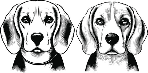 Beagle Dog Vector isolated on white background, Dog Silhouettes