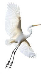 Great Egret Bird Flying on White Background, Photo Realistic, Pattern Background, Wallpaper, Cover and Screen for Smartphone, PC, Laptop, 9:16 and 16:9 Format