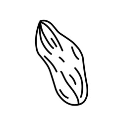 Nuts And Seeds Outline Style