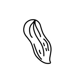 Nuts And Seeds Outline Style