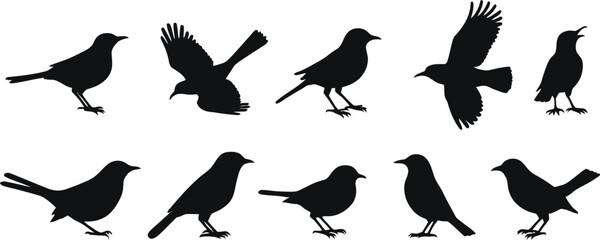 Fototapeta premium birds set silhouette vector art illustration