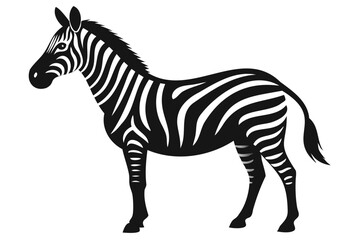 Zebra line art black silhouette vector illustration on a white background, Hand drawn vector silhouette