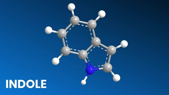 3D Structure of Indole Molecule | 3D View of Molecular Structure