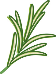 Illustration of rosemary sprigs symbolizing freshness and culinary use.