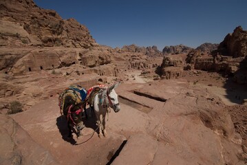Petra, Jordan
