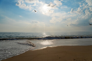 Coucher de soleil à la barre d'Étel, avec des reflets dorés sur l'eau, des nuages blancs et des mouettes dans le ciel. Le sable doré ajoute à la sérénité de cette scène paisible.