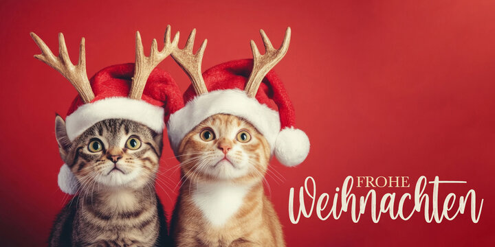 Frohe Weihnachten Urlaub Winter Hintergrund Gru&szlig;karte mit deutschem Text -Katzen mit Nikolausm&uuml;tze oder Weihnachtsmannm&uuml;tze, isoliert auf rotem Hintergrund