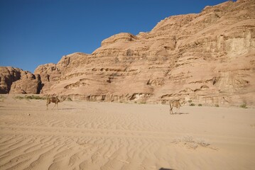 Wadi Rum desert in Jordan.