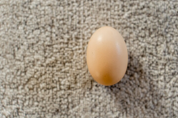 Close-up of a Chicken Egg on Carpet Indoors