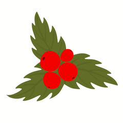 Holly berry icon, mistletoe leaves and berries, Christmas symbol on white background. Bright fruits on green leaves. Print for postcards, presentations. Vector illustration, hand drawn