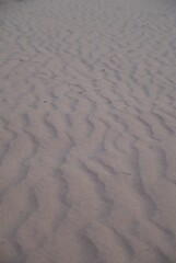 Wadi Rum desert in jordan