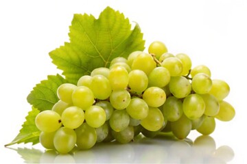 Fototapeta premium A bunch of ripe white wine grapes with a stem, isolated on a white background