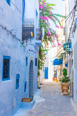 Paysage et architecture de la m&eacute;dina de Hammamet 