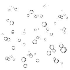 Oxygen air bubbles  flow  in water on white  background.