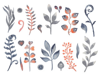 Watercolor floral set of indigo and red branches, twigs. Hand drawing isolated floral illustration.