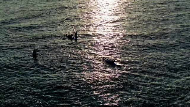 Surfer goes out to sea