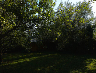 Countryside small cabin during early autumn landscape