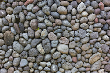 Round pebbles stone wall texture for background