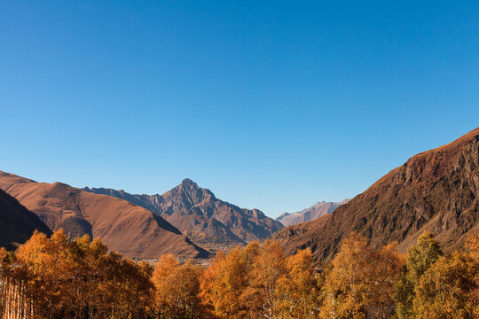 a panoramic view of autumn landscape with mountain hills surrounded by trees with yellow and red foliage at kazbegi stepantsminda in georgia near the foot of mount kazbek