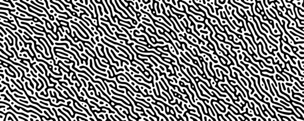 Monochrome Dynamics in Motion A Seamless Exploration of Turing Reaction Diffusion Patterns with Chaotic Organic Movement

