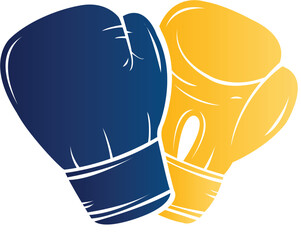 set of 2 boxing gloves, vector illustration