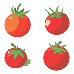 Vector illustration of a red tomato isolated on white , Tomato vector. Tomato on white background. Tomato vector in cartoon style