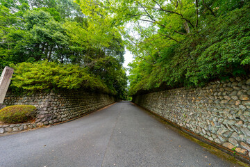 奈良県　石上神宮の風景