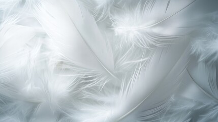 Fototapeta premium White feathers softly arranged against a light background. The photo conveys a feeling of lightness, airiness and purity.