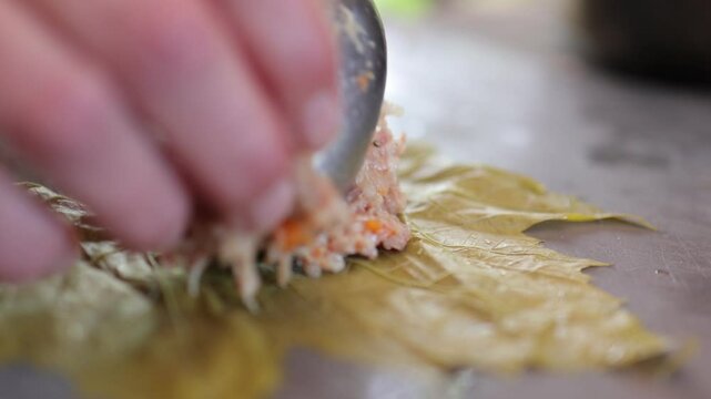 People cook dolma food.
Grape leaves stuffed with minced meat.
