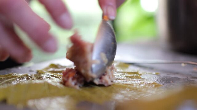 People cook dolma food.
Grape leaves stuffed with minced meat.