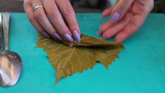 People cook dolma food.
Grape leaves stuffed with minced meat.