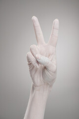 A gloved hand displays a peace sign, symbolizing unity and remembrance on memorial day.