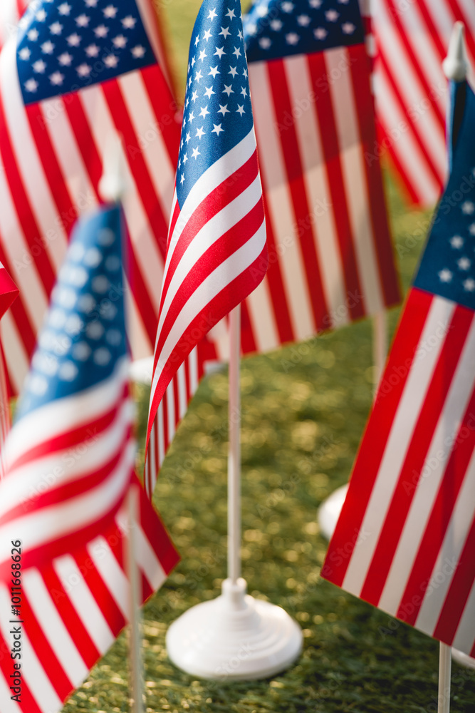 Canvas Prints miniature American flags proudly stands on green grass, symbolizing patriotism and remembrance.