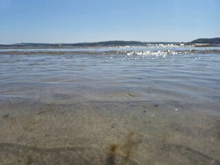 Tranquil Summer Day At The Beach: Waves Lapping On The Sunlit Shoreline Under A Blue Sky
