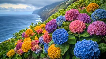 Vibrant hydrangea flowers bloom along the coastline with ocean waves crashing in the background