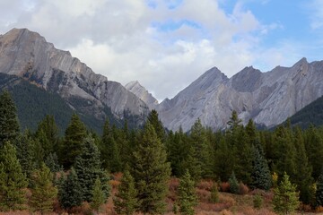 A panoramic view of a majestic mountain range, with towering peaks and rugged cliffs, overlooking a dense forest of evergreen trees under a clear blue sky. © jackie