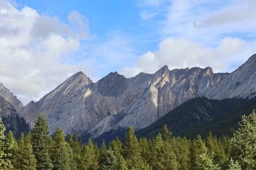 A majestic mountain range dominates the horizon, its peaks towering over a dense forest of evergreen trees. The sky is a brilliant blue, dotted with fluffy white clouds.