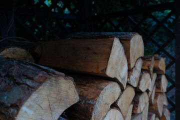 A side-angle, close-up shot capturing the arranged firewood, carefully stacked for optimal drying. The intricate details of the wood grain and rough bark stand out, showcasing the natural texture.