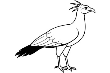 Secretary Bird Majestic Wildlife Illustrations for Creative Projects