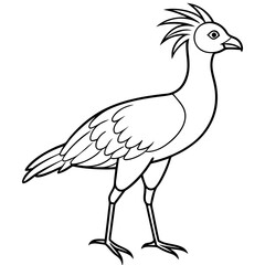 Secretary Bird Majestic Wildlife Illustrations for Creative Projects