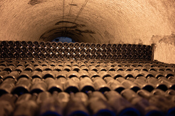 Walking in deep and long underground caves with dusty bottles on racks, making champagne sparkling...