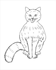 Vector illustration of cute cat, black and white drawing art character isolated on white background